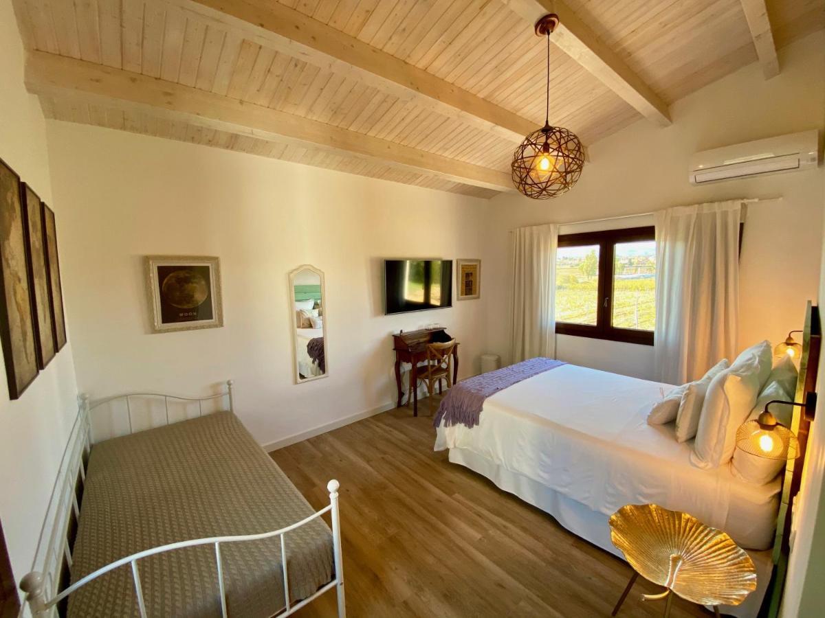 Bed&Breakfast Wine&Cooking Penedès Pla del Panadés Esterno foto