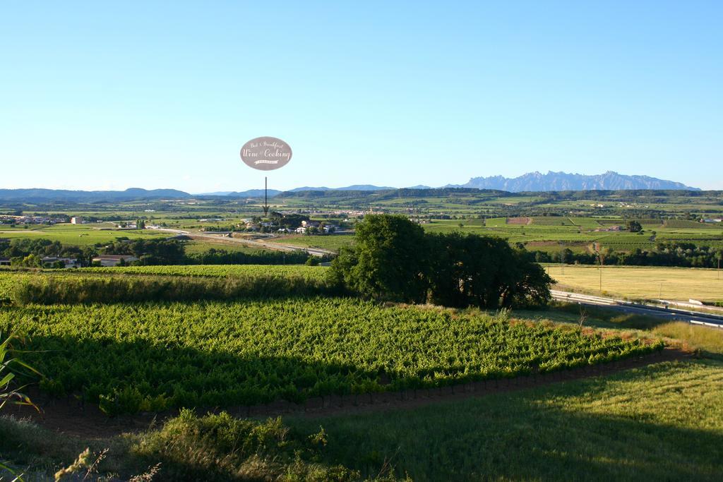 Bed&Breakfast Wine&Cooking Penedès Pla del Panadés Esterno foto